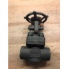 Newco 1" Class 800 Cast Iron Gate Valve 47 18X-FS2-RP-NC-