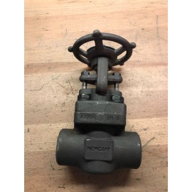 Newco 1" Class 800 Cast Iron Gate Valve 47 18X-FS2-RP-NC-