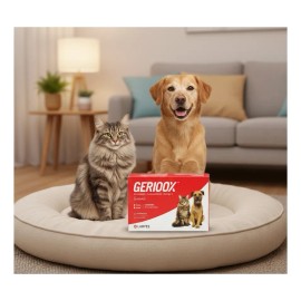 Ge Rioox 30 Tab Labyes Suplemento Perro Senior