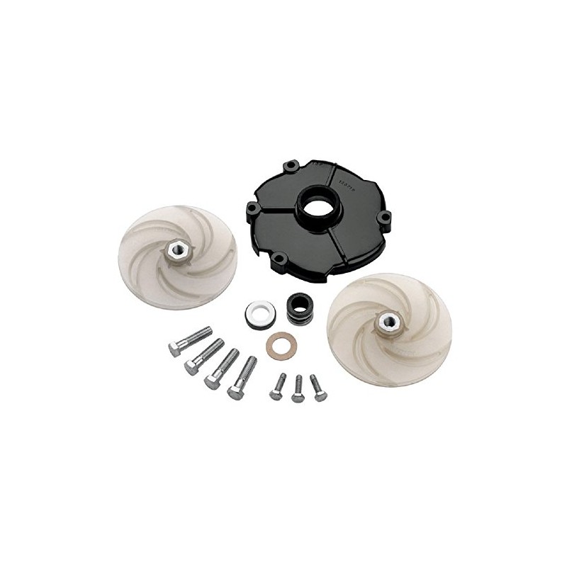 Pentair Water FPPK50-P2 Jet Pump Overhaul Repair Kit