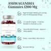 Ashwagandha Gummies 1200mg per serv High Strength with 5% Withanolides