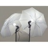 2 PHOTOGRAPHY STUDIO CONTINUOUS LIGHTING KITS W/ TWO FREE Day-Light