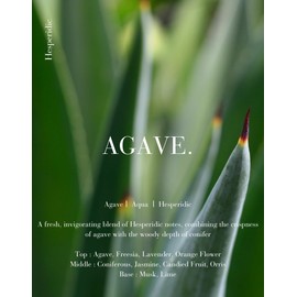 CONER Smart Scent Diffuser Refill Cartridge - AGAVE. - Hesperidic Note (AGAVE.)