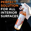 ESOTERIC Interior Detailer 16oz - Car Interior Cleaner for Plastic,