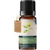 Calmer Solutions Ylang ylang III 100% Essential Aromatherapy Oil 10ml