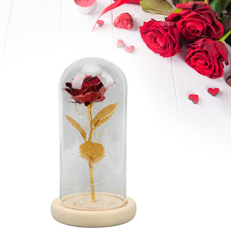 Rose in Glass Dome Lucky Beautiful Symbolism Romantic Enchanted Rose