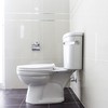 TIANNAIT 1 x Ceramic Toilet Flush Handle, Toilet Flush Handle,