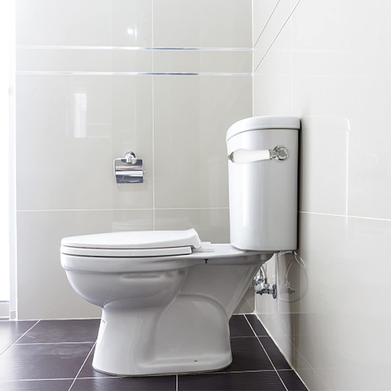 TIANNAIT 1 x Ceramic Toilet Flush Handle, Toilet Flush Handle,