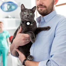 ZKSXOA Airtag Cat Collar, Airtag with AirTag Holder and Bell, Reflective Cat Collar with Breakable Safety Buckle for Kittens Puppies, Adjustable 22-35 cm, Pack of 2