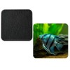 Set Of 4 Zebra Angel Fish Tropical synthetic Leather Square