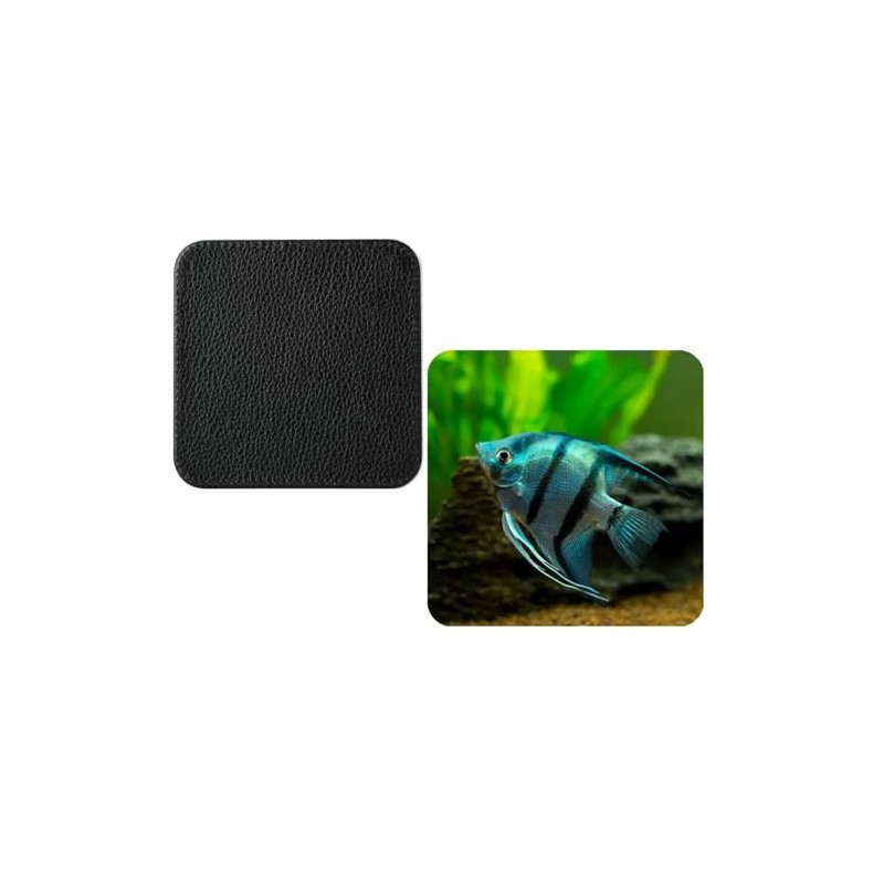Set Of 4 Zebra Angel Fish Tropical synthetic Leather Square