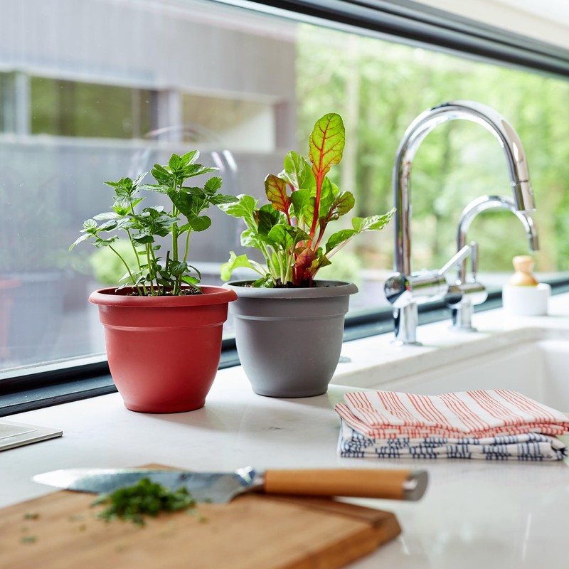 Bloem Ariana 6" Charcoal Round Self-Watering Resin Planter Pot -