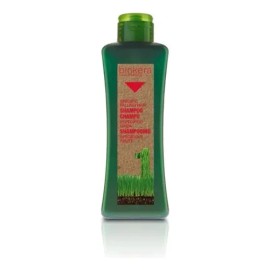 Shampoo Anticaída Salerm Biokera con Ginseng y Ginkgo Biloba, 1 L