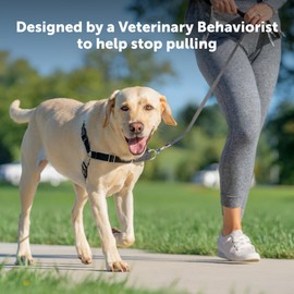 PetSafe Easy Walk No-Pull Dog Harness - The Ultimate Harness to Help Stop Pulling - Take Control & Teach Better Leash Manners - Helps Prevent Pets Pulling on Walks, Small/Medium, Red/Black