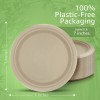 Ibambo Bamboo Disposable Paper Plates - Compostable Plate, PFAS Free