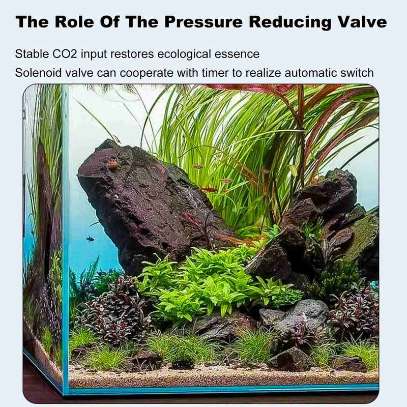 CO2 Pressure Relief Dispenser Water Regulator for Aquarium Regulator