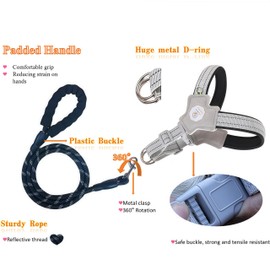 Escape-Proof Dog Harness for Small/Medium Breeds - Soft Padded Vest with Reflective Leash, Adjustable Y-Shape Design (22-33 lbs, Black)