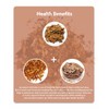 Ssanggye Jerusalem Artichoke Tea 2.2g x 20 Pyramid Tea Bags,