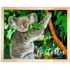 Twigg Puzzle Wooden Framed Postcard Puzzles, Koala