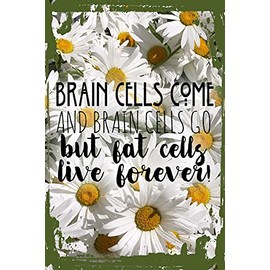 Daisy Flower Wall Art Brain Cells come and Go But Fat Cells Live Forever Funny Body Hanging Wall Sign 8 x 12 Decor Funny Gift