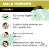 Forest Herbs 100% Natural Organic Amla Powder For Hair Growth