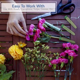 Royal Imports Floral Water Tubes with Caps – 3" Clear Plastic Flower Vials for Single Stem Roses, Buds, Bouquets – Standard Style, 1/2" Opening – 25 Pack