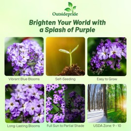 Outsidepride Marine Heliotropium Seeds - 1000 Pcs. Perennial, Easy to Grow & Versatile, Flower Seeds for Planting Fragrant & Vibrant Deep Violet-Blue Blooms for Sunny Borders & Pollinator Gardens