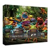 Colorful Frog Puzzle 1000 Piece for Adults, Rainbow Frogs Jigsaw