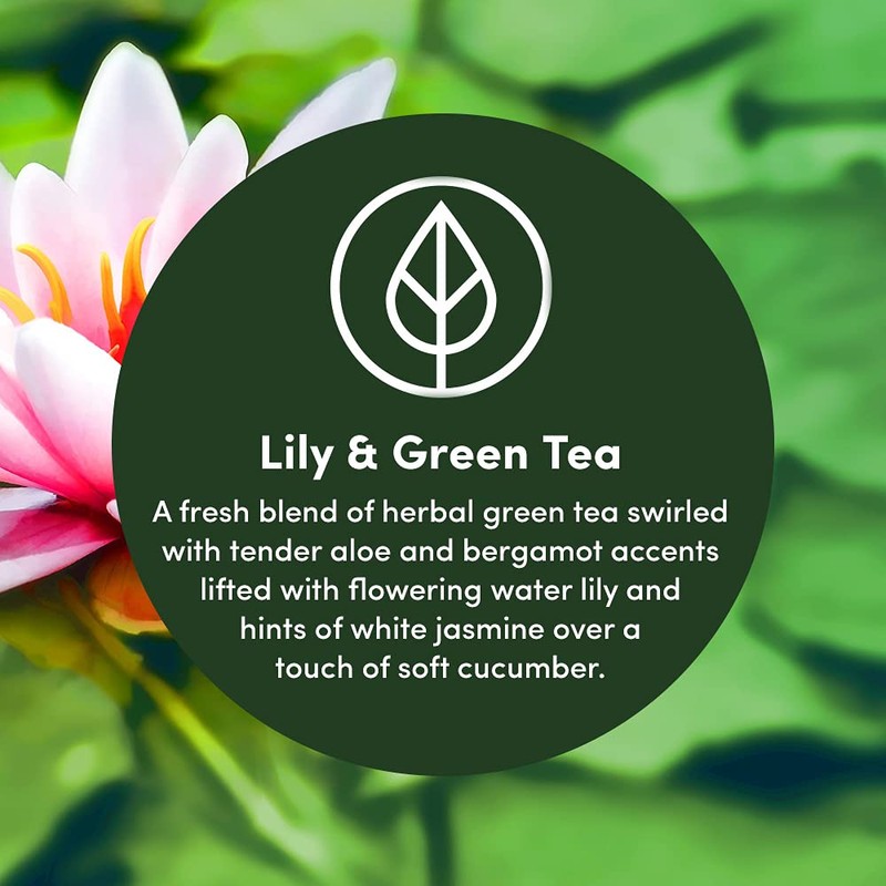 Clean Revolution Multi Surface Cleaner Refill Supply, Non-Toxic, Eco-Friendly &