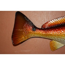 Tropical Coral Reef Sea Life Wall Hangings Redfish Trophy Mount, 11" to 12", Ultra-Realistic Redfish Replica for DIY Fish Trophy Mount, Set of 2