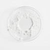 Topicrem PV Gel Limpiador 6.8 fl oz