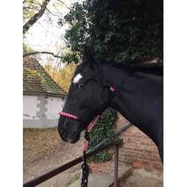 Knot Halter with Rope for Horses - Padded Nose and Neck Ideal for Ground Work, Horse Training, Training (Black-Pink-Green)