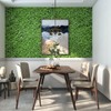 HelloWall Grass Wallpaper Green Grass Contact Paper Green Wallpaper Peel