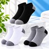 Breathable Low-Cut Socks for Daily Wear – Sweat-Absorbing Comfort for