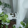 Grow Cubes for Hydroponic System/Compatible with Gardyn (20 Grow Cubes)