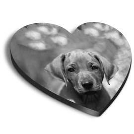 1 x Heart MDF Magnets - rhodesian Ridgeback Puppy Dog 37600