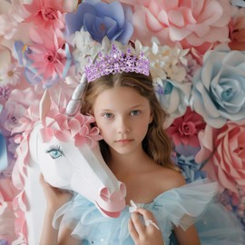 Schmoopy Tiara Crown for Women, Hair Accessories for Party Wedding (B-Purple)