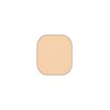 KATE Skin Cover Filter Foundation 01, Slightly Bright, 13 Gram