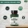 ORGANIC SPREE Hadjod 120 Tablets – USDA Organic Cissus Quadrangularis