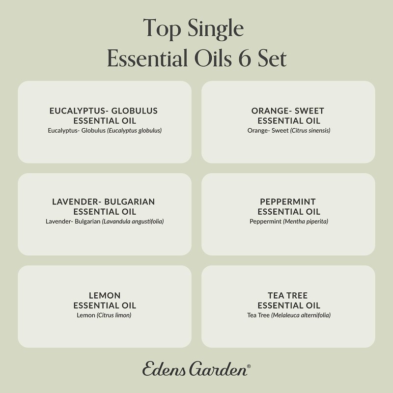 Edens Garden Top Essential Oils 6 Set – 100% Pure