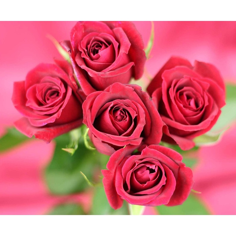 ファイン エチケットローズ 42粒入り ローズオイル 植物抽出エキス 米胚芽・大豆抽出物 含有