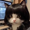 Pet Wig for Cats & Dogs – DIY-Trimmable Curly or
