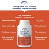 DORWEST HERBS Scullcap & Valerian Calming Tablets for Dogs and