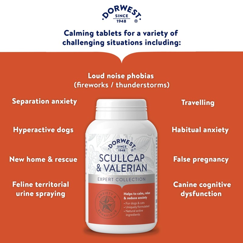 DORWEST HERBS Scullcap & Valerian Calming Tablets for Dogs and