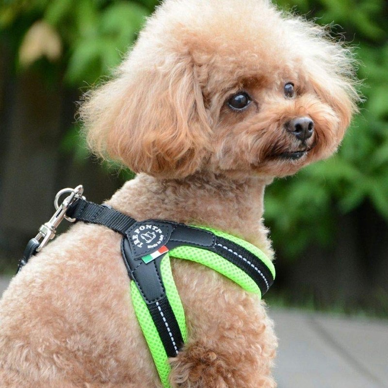 TRE PONTI Fibbia Soft Mesh Cushioned Breathable Harness for Dogs