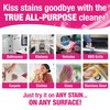 Quick N Brite All Purpose Cleaning Paste, True All Purpose