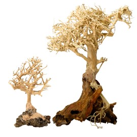 2-Pack Bonsai Driftwood Aquarium Trees on Rock 1BF (11" Height) 1BSS(5" Height) – Handcrafted Natural Fish Tank Decoration | Balances Water pH, Stabilizes Environment | Easy to Install