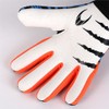 HO Soccer Beast Plus Hazard V2 Blue Goalkeeper Gloves, Unisex,