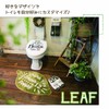 Okato Slippers & Green LEAF