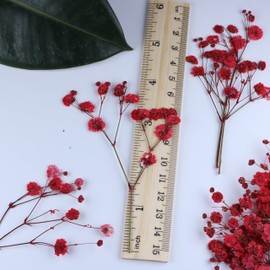 LYFORTZY 50 Pcs Red Baby's Breath Real Dried Pressed Flowers.Vacuum-Packed Mini Dried Baby's Breath Flowe Specimen +1 Tweezers, for Resin Art /DIY Making Wedding Card/ Home Party Decor.